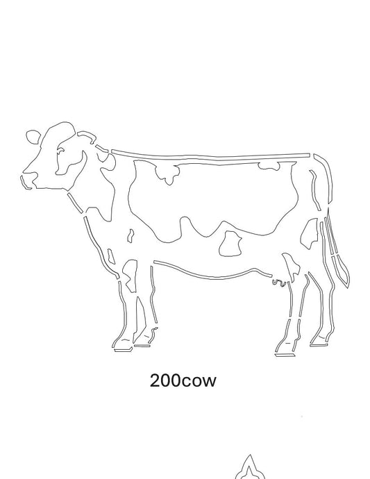 Cow Images