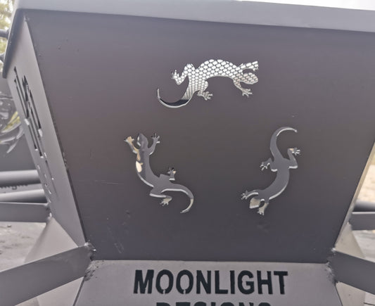 Lizard Images