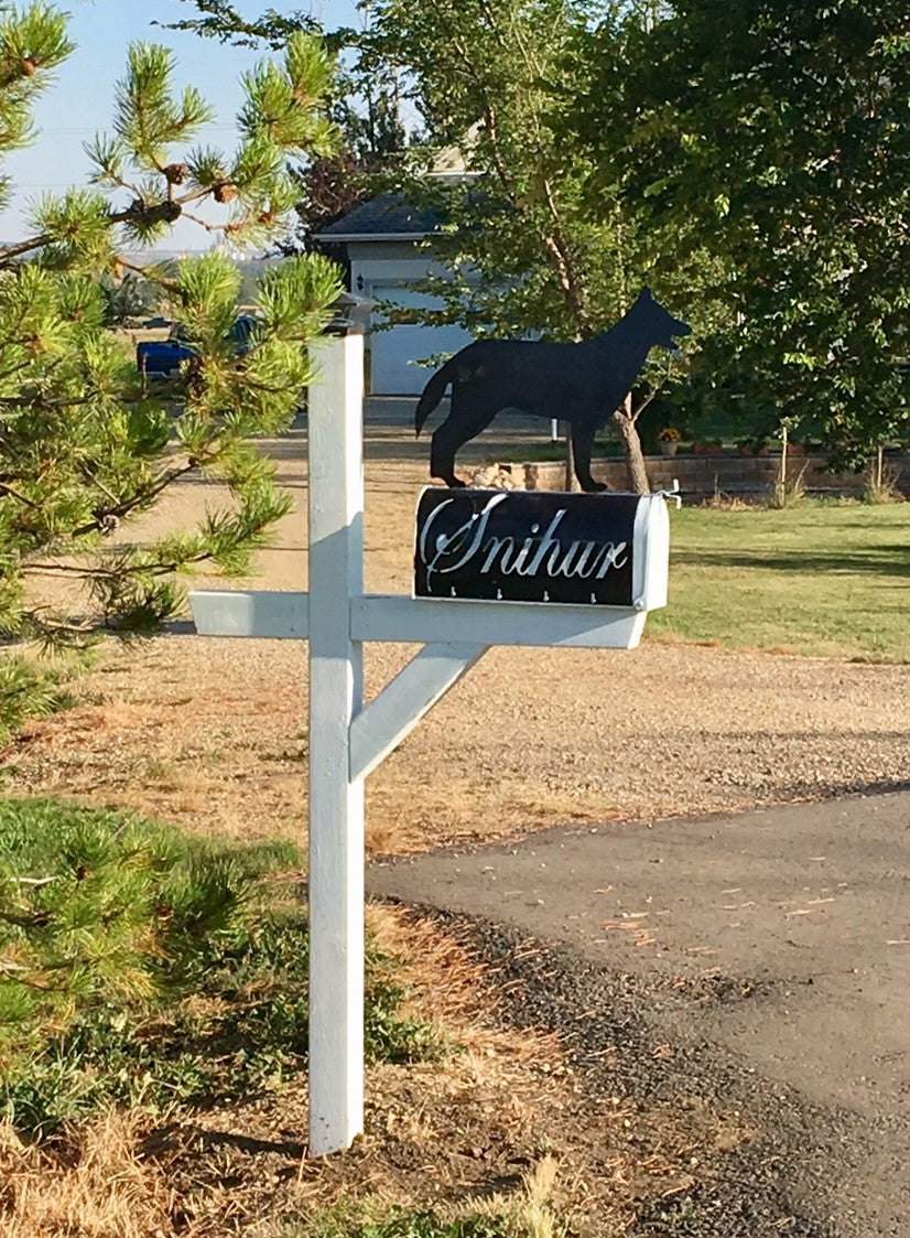 Custom Wall/Driveway Signs