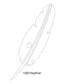 Feather Images