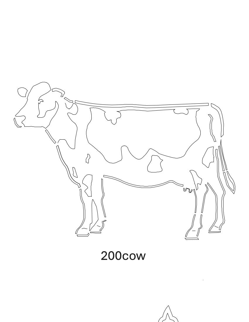 Cow Images