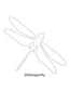 Dragonfly Images