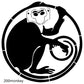 Monkey Images