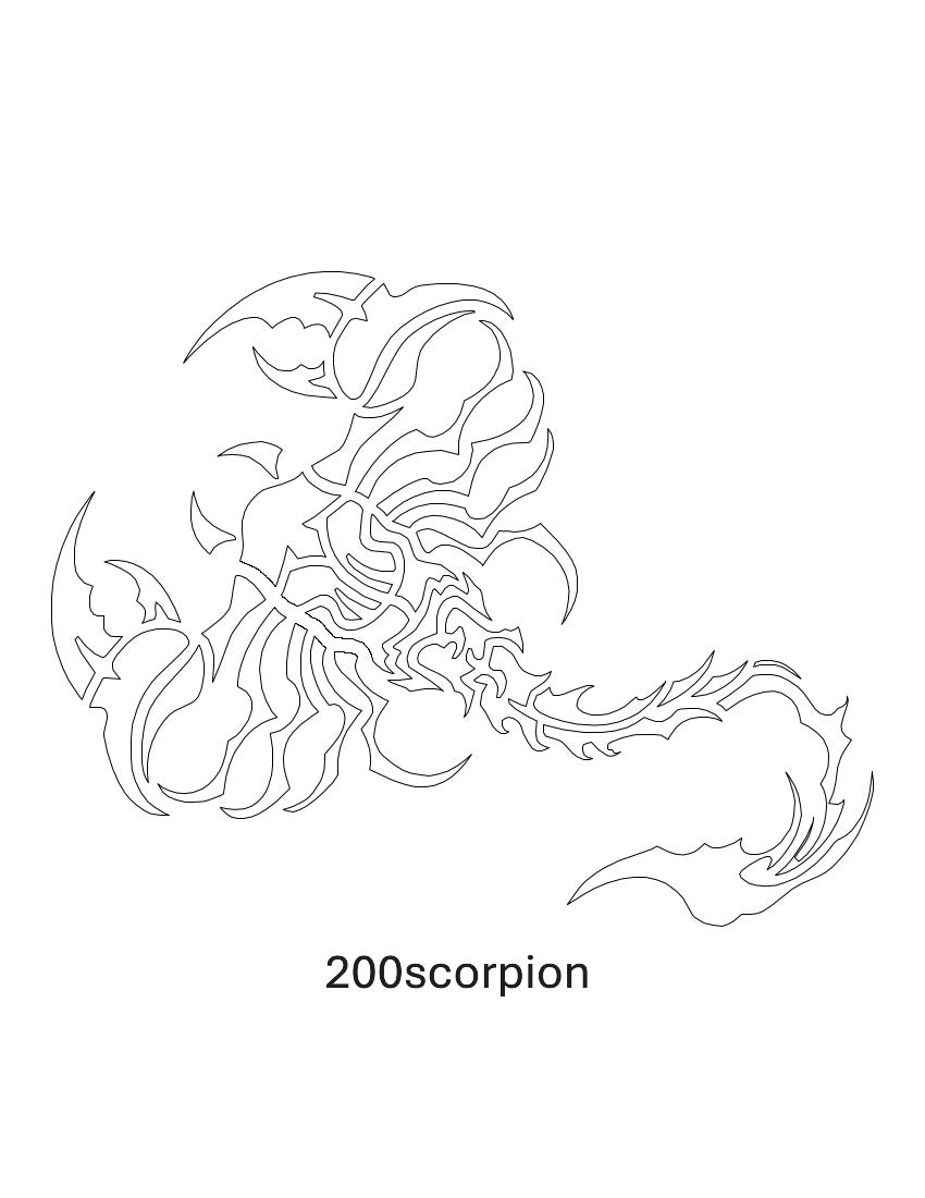 Scorpion Images