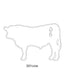 Cow Images