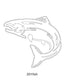 Fish Images