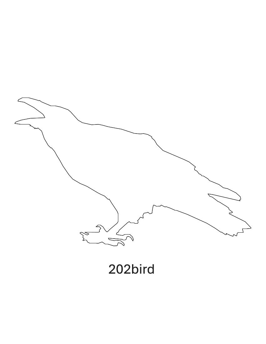Bird Images