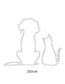 Cat Images