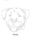 Dog Images