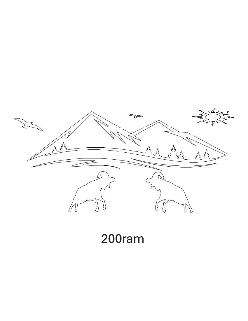 Sheep Images