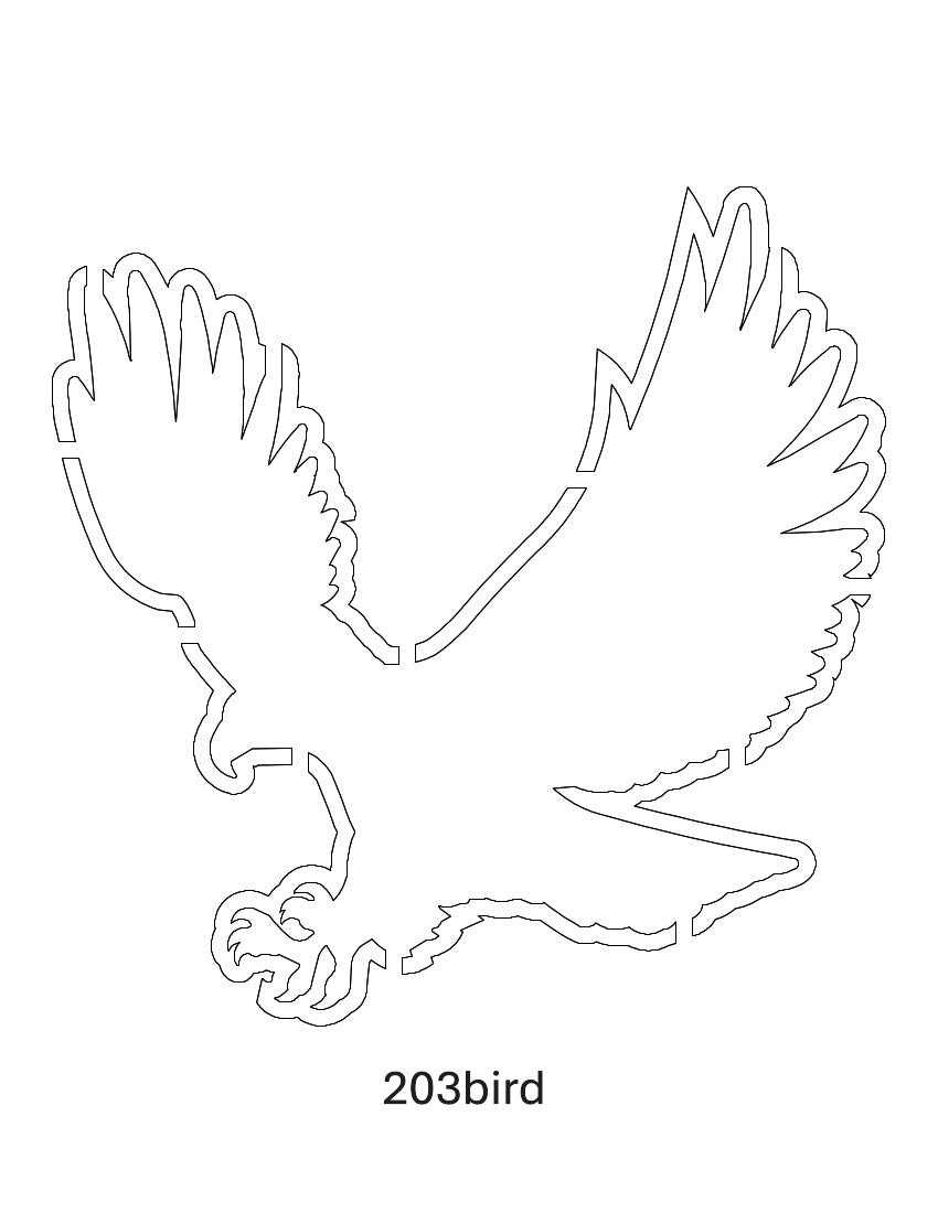 Bird Images