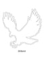 Bird Images