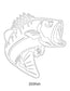 Fish Images