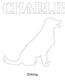 Dog Images