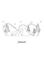Wolf Images