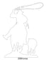 Horse Images
