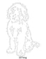 Dog Images