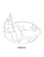 Deer, Moose, Elk Images