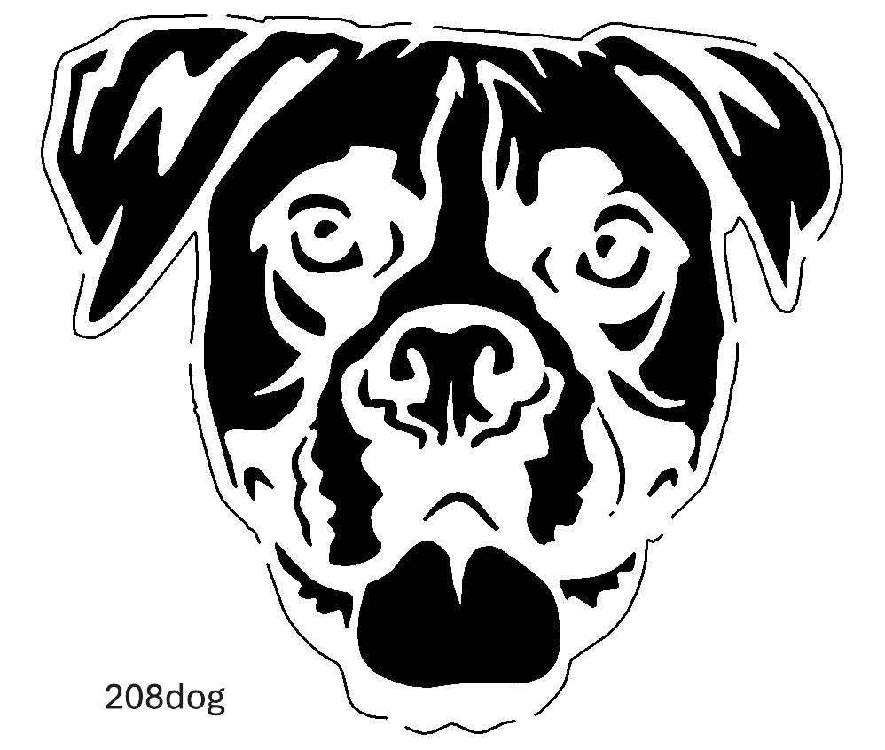 Dog Images