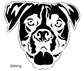 Dog Images
