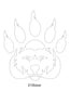 Bear Images