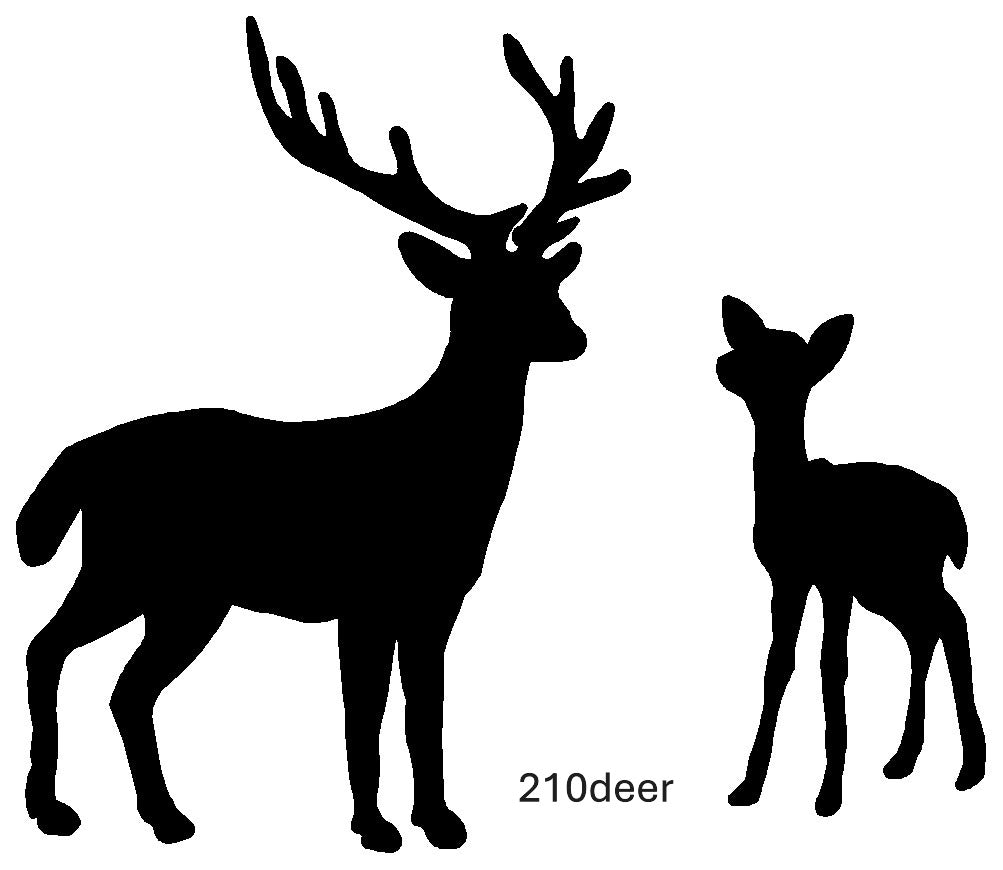 Deer, Moose, Elk Images