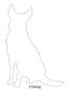 Dog Images