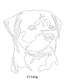 Dog Images