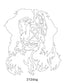 Dog Images