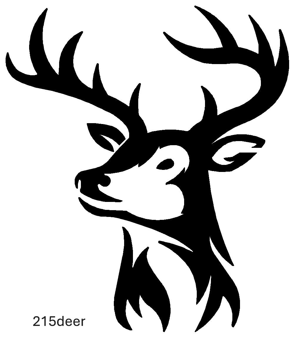Deer, Moose, Elk Images