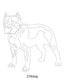 Dog Images