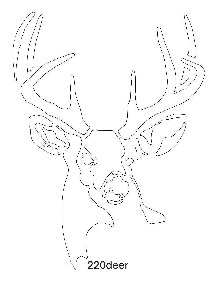 Deer, Moose, Elk Images