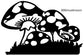Mushroom Images