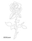 Flower Image