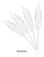 Wheat Images