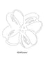 Flower Image